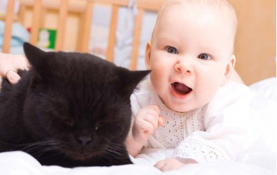 Γάτα - Επαφή με μωρά